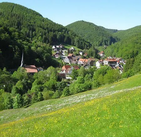Das-urlaubszuhause-fuer-familien-grossfamilien-mehrfamilien-und-kleine-gruppen-bis-zum-12-personen-mit-vielen-unterhaltungsmoeglichkeiten-im-harz Casa vacanze *