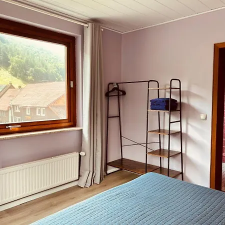 Das-urlaubszuhause-fuer-familien-grossfamilien-mehrfamilien-und-kleine-gruppen-bis-zum-12-personen-mit-vielen-unterhaltungsmoeglichkeiten-im-harz *