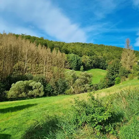 Das-urlaubszuhause-fuer-familien-grossfamilien-mehrfamilien-und-kleine-gruppen-bis-zum-12-personen-mit-vielen-unterhaltungsmoeglichkeiten-im-harz Casa vacanze *