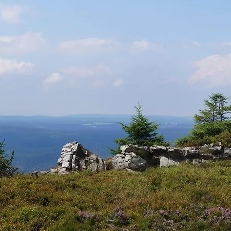 Das-urlaubszuhause-fuer-familien-grossfamilien-mehrfamilien-und-kleine-gruppen-bis-zum-12-personen-mit-vielen-unterhaltungsmoeglichkeiten-im-harz Casa vacanze Sieber