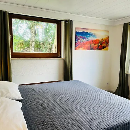 Das-urlaubszuhause-fuer-familien-grossfamilien-mehrfamilien-und-kleine-gruppen-bis-zum-12-personen-mit-vielen-unterhaltungsmoeglichkeiten-im-harz Casa vacanze