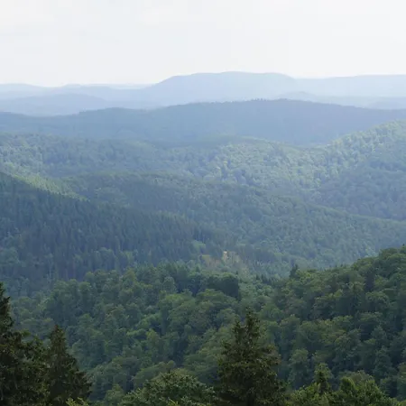 Das-urlaubszuhause-fuer-familien-grossfamilien-mehrfamilien-und-kleine-gruppen-bis-zum-12-personen-mit-vielen-unterhaltungsmoeglichkeiten-im-harz Casa vacanze Sieber