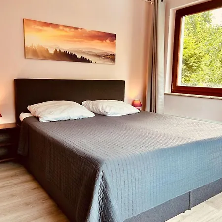 Das-urlaubszuhause-fuer-familien-grossfamilien-mehrfamilien-und-kleine-gruppen-bis-zum-12-personen-mit-vielen-unterhaltungsmoeglichkeiten-im-harz *