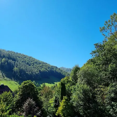 Das-urlaubszuhause-fuer-familien-grossfamilien-mehrfamilien-und-kleine-gruppen-bis-zum-12-personen-mit-vielen-unterhaltungsmoeglichkeiten-im-harz
