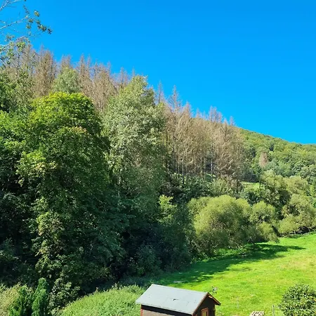 Das-urlaubszuhause-fuer-familien-grossfamilien-mehrfamilien-und-kleine-gruppen-bis-zum-12-personen-mit-vielen-unterhaltungsmoeglichkeiten-im-harz * Sieber