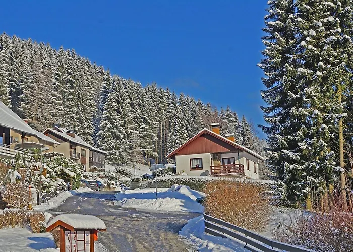 Das-urlaubszuhause-fuer-familien-grossfamilien-mehrfamilien-und-kleine-gruppen-bis-zum-12-personen-mit-vielen-unterhaltungsmoeglichkeiten-im-harz Sieber