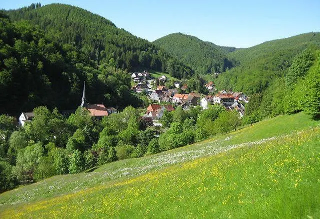 Das-urlaubszuhause-fuer-familien-grossfamilien-mehrfamilien-und-kleine-gruppen-bis-zum-12-personen-mit-vielen-unterhaltungsmoeglichkeiten-im-harz Dom wakacyjny *
