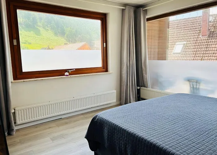 Dom wakacyjny Das-urlaubszuhause-fuer-familien-grossfamilien-mehrfamilien-und-kleine-gruppen-bis-zum-12-personen-mit-vielen-unterhaltungsmoeglichkeiten-im-harz *