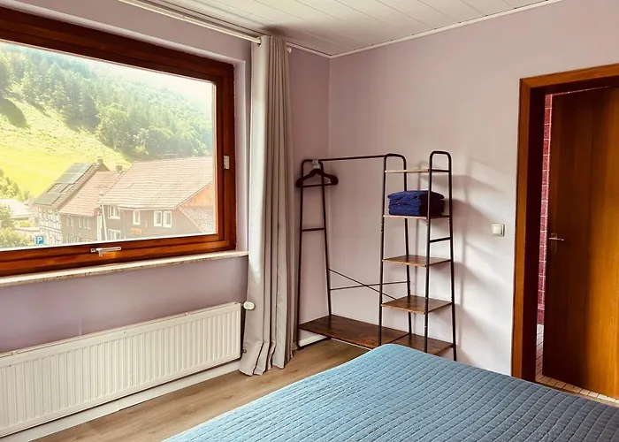 Das-urlaubszuhause-fuer-familien-grossfamilien-mehrfamilien-und-kleine-gruppen-bis-zum-12-personen-mit-vielen-unterhaltungsmoeglichkeiten-im-harz *