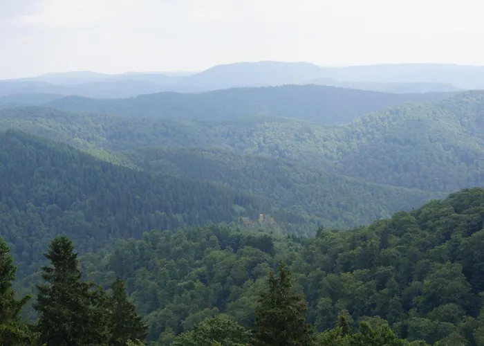 Das-urlaubszuhause-fuer-familien-grossfamilien-mehrfamilien-und-kleine-gruppen-bis-zum-12-personen-mit-vielen-unterhaltungsmoeglichkeiten-im-harz Dom wakacyjny Sieber