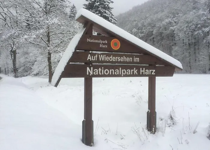 Das-urlaubszuhause-fuer-familien-grossfamilien-mehrfamilien-und-kleine-gruppen-bis-zum-12-personen-mit-vielen-unterhaltungsmoeglichkeiten-im-harz