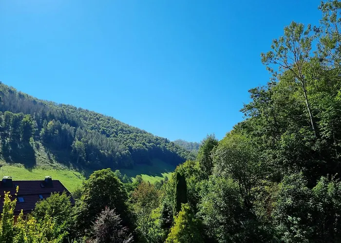 Das-urlaubszuhause-fuer-familien-grossfamilien-mehrfamilien-und-kleine-gruppen-bis-zum-12-personen-mit-vielen-unterhaltungsmoeglichkeiten-im-harz