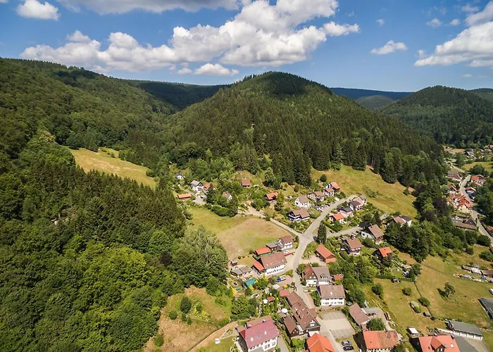 Das-urlaubszuhause-fuer-familien-grossfamilien-mehrfamilien-und-kleine-gruppen-bis-zum-12-personen-mit-vielen-unterhaltungsmoeglichkeiten-im-harz Dom wakacyjny